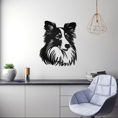Shetland Sheepdog