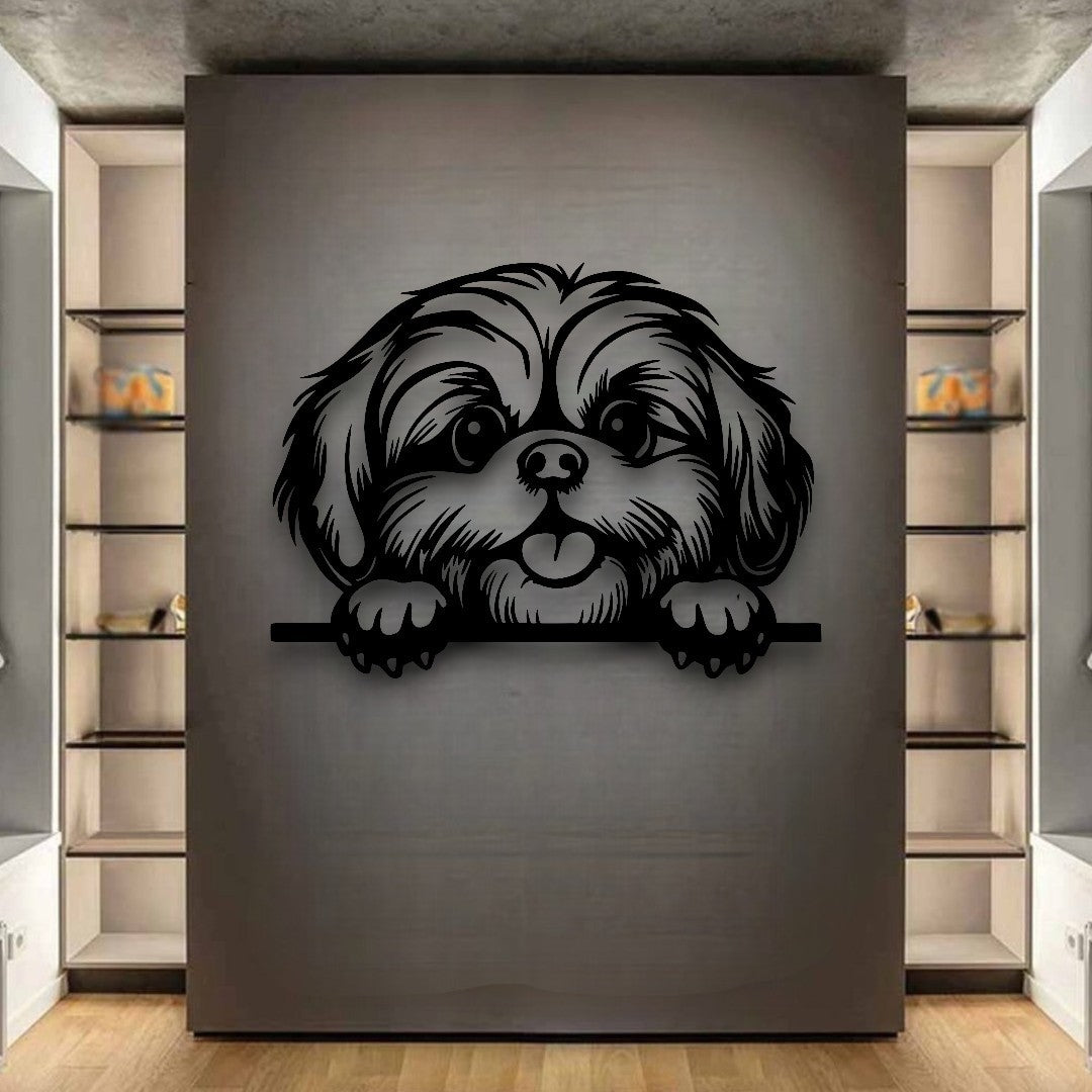 Shih Tzu
