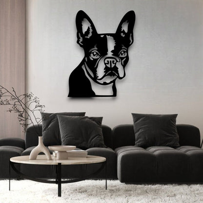 Boston Terrier